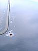 sunroof rust..body work!!-image02.jpg