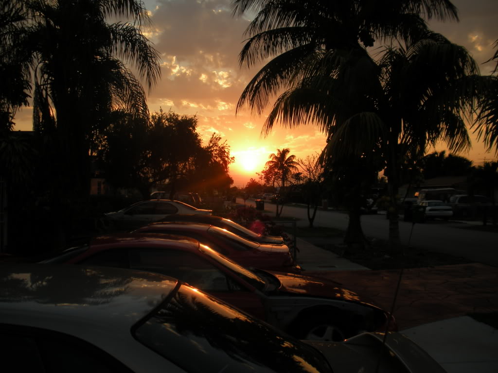 Name:  s14sunset.jpg
Views: 6
Size:  109.0 KB